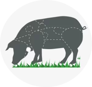Despiece carrillera de cerdo ibérico