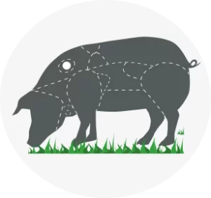 Despiece presa ibérica, gráfico cerdo ibérico