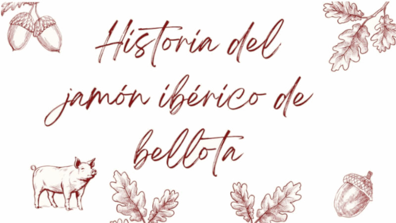 historia del jamón ibérico de bellota