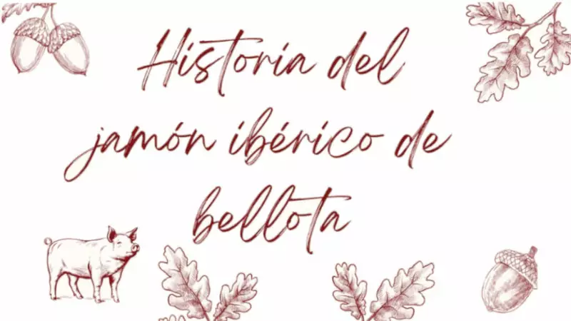 historia del jamón ibérico de bellota