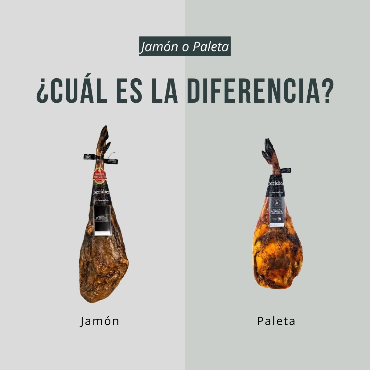 diferencia entre jamon y paleta, diferencia entre jamon y paleta, diferencia entre paleta y jamón, diferencia paleta y jamon, diferencias entre paleta y jamon, jamon o paleta diferencia, cual es la diferencia entre paleta y jamon, diferencia entre el jamon y la paleta, diferencia entre jamon iberico y paleta iberica, diferencia entre paleta y jamon de cerdo, que diferencia hay entre jamon y paleta, diferencia entre jamon cocido y paleta, que diferencia hay entre el jamon y la paleta, como se diferencia un jamon de una paleta, cual es la diferencia entre jamon cocido y paleta, diferencia de calidad entre paleta y jamón, diferencia de sabor entre jamon y paleta, diferencia entre jamón cocido y paleta cocida, diferencia entre paleta curada y jamon